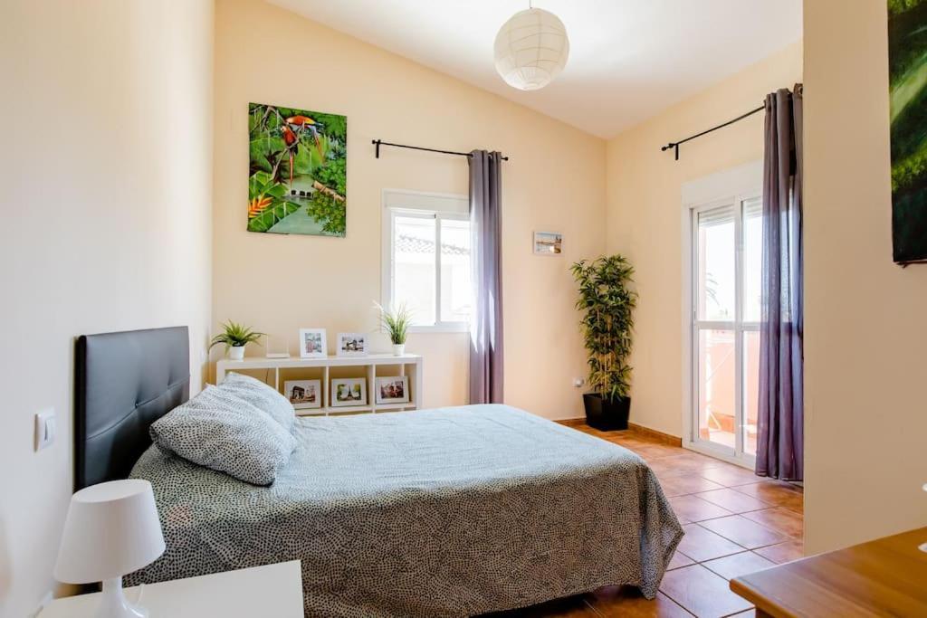 Valencina de la Concepción Apartamento Privado Con Piscina Y Jardin Compartidos. מראה חיצוני תמונה