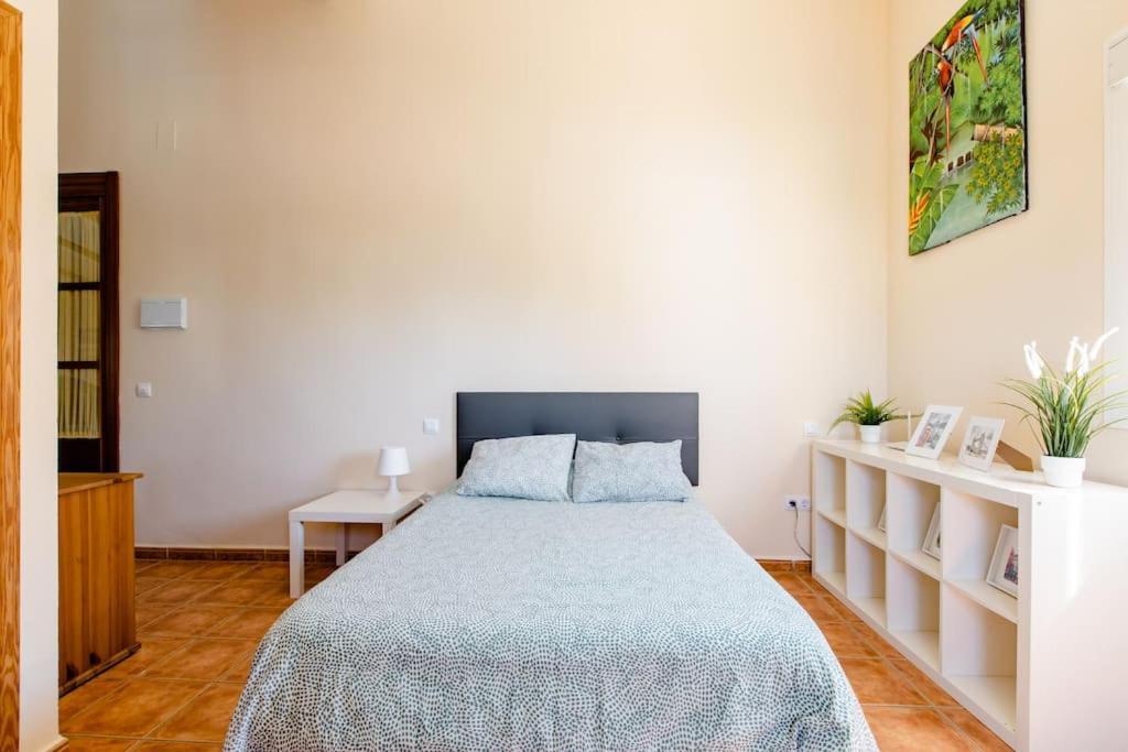 Valencina de la Concepción Apartamento Privado Con Piscina Y Jardin Compartidos. מראה חיצוני תמונה